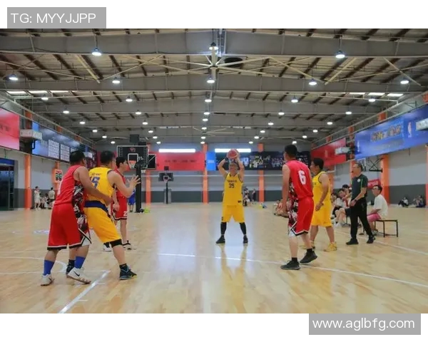 友谊赛:球场上的竞技与友谊交织,共同追寻体育精神与团队合作的巅峰