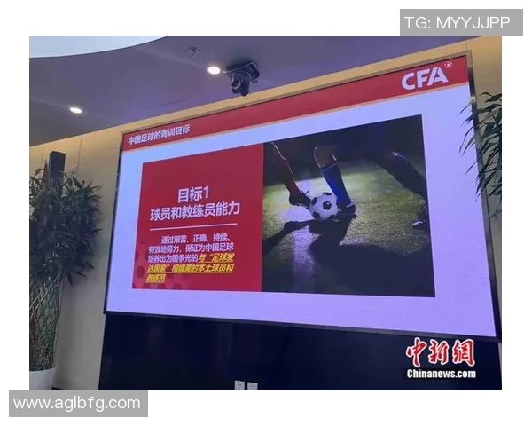 上海足球队的灵活性探讨与未来发展方向分析